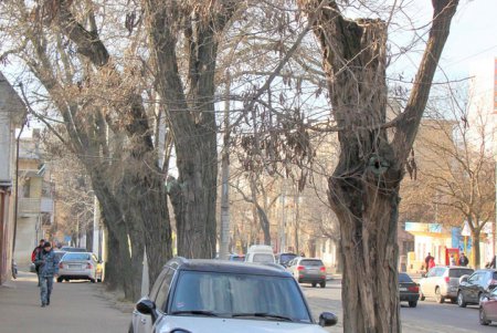 Старая Одесса: прогулка по улице Градоначальницкой (фоторепортаж)