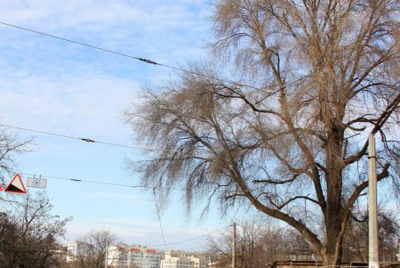 Старая Одесса: прогулка по улице Градоначальницкой (фоторепортаж)