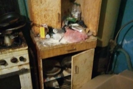 Забаррикадировались в квартире: у пьяных родителей с трудом забрали маленьких детей (фото)