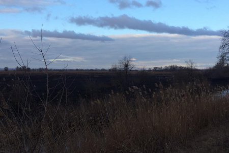 В Нижнеднестровском нацпарке выгорело около 800 гектаров территории: экологи подсчитывают ущерб (фото)