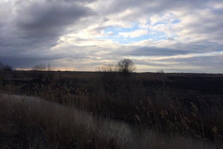 В Нижнеднестровском нацпарке выгорело около 800 гектаров территории: экологи подсчитывают ущерб (фото)