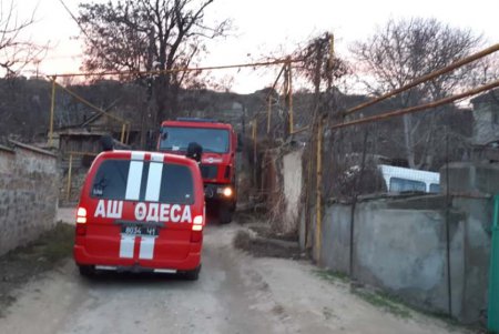 Пожар в Большевике: с камышей огонь перекинулся на жилой дом (фото)