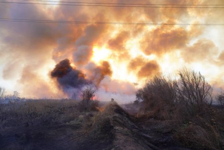 Пожар в Большевике: с камышей огонь перекинулся на жилой дом (фото)