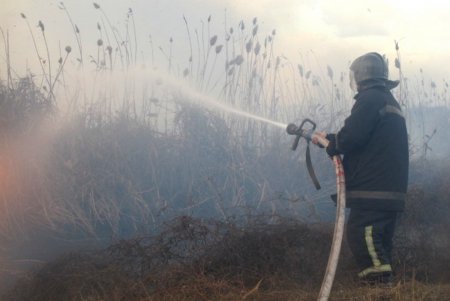 Одесские спасатели ликвидировали возгорание камыша на площади 4 гектара (фото, видео)