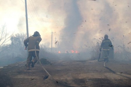 Одесские спасатели ликвидировали возгорание камыша на площади 4 гектара (фото, видео)