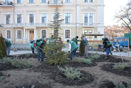 Возле Воронцовского дворца высадили несколько видов декоративных деревьев и кустарников (фото)