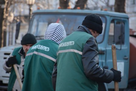 Возле Воронцовского дворца высадили несколько видов декоративных деревьев и кустарников (фото)