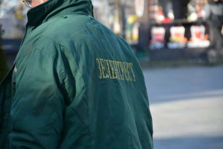 Можжевельники, туи, юкки: на Приморском бульваре высадили декоративные растения (фоторепортаж)