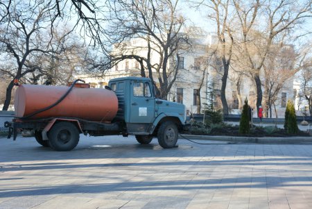 Можжевельники, туи, юкки: на Приморском бульваре высадили декоративные растения (фоторепортаж)
