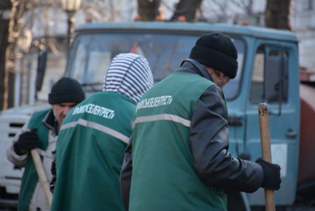 Можжевельники, туи, юкки: на Приморском бульваре высадили декоративные растения (фоторепортаж)