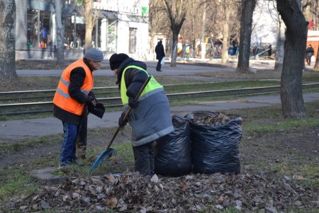 Замена ламп, очистка улиц и памятников: в Суворовском районе прошла масштабная генеральная уборка (фото, видео, обновлено)