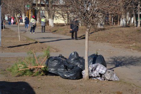 Замена ламп, очистка улиц и памятников: в Суворовском районе прошла масштабная генеральная уборка (фото, видео, обновлено)