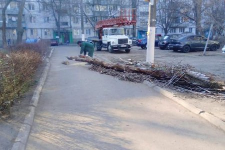 Коммунальщики убрали упавшие деревья на поселке Котовского и в парке Шевченко (фото)
