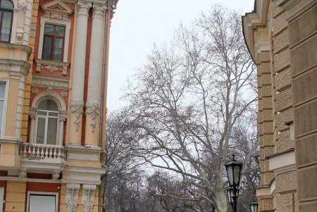Замена плиточного покрытия между сквером Пале-Рояль и оперным театром (фоторепортаж)