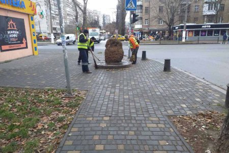 Плохие погодные условия не помешали генеральной уборке в Киевском районе (фото) 