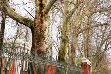 История улицы Водопроводной: старинные здания, «Чумка» и водонасосная станция (фоторепортаж)