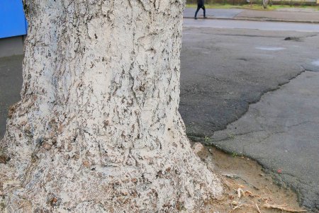 История улицы Водопроводной: старинные здания, «Чумка» и водонасосная станция (фоторепортаж)