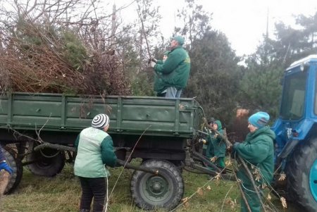 Коммунальщики навели чистоту на улицах и межквартальных проездах в Малиновском районе (фото)