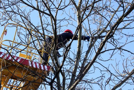В сквере Старостина провели комплексную уборку (фоторепортаж)
