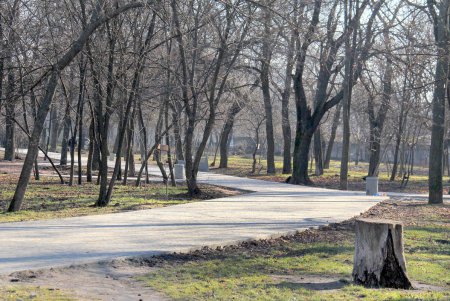 В сквере Старостина провели комплексную уборку (фоторепортаж)