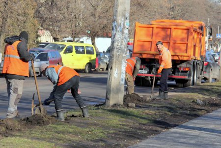В сквере Старостина провели комплексную уборку (фоторепортаж)