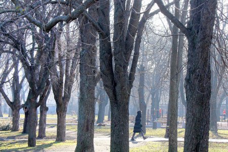 В сквере Старостина провели комплексную уборку (фоторепортаж)