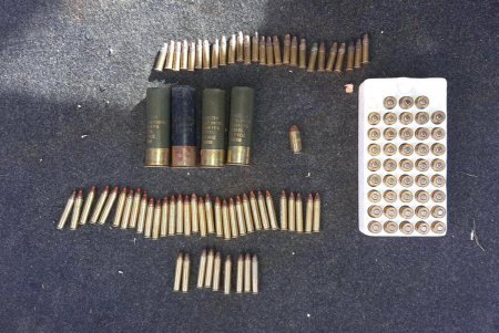 Служебный пес пограничников помог обнаружить арсенал боеприпасов в прибывшем на теплоходе авто (фото, видео)
