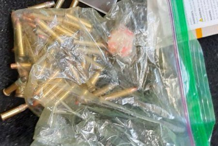 Служебный пес пограничников помог обнаружить арсенал боеприпасов в прибывшем на теплоходе авто (фото, видео)