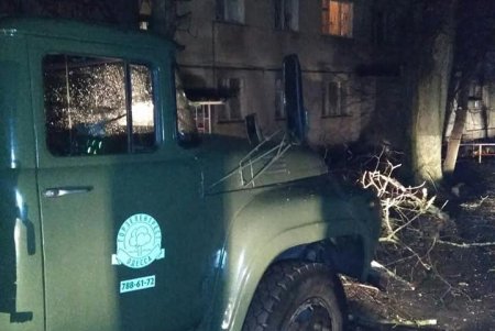Ночью на Марсельской дерево упало на линии электропередач (фото)