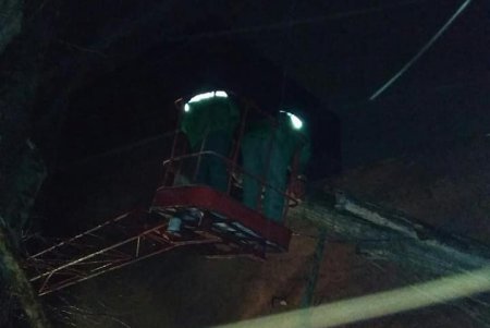 Ночью на Марсельской дерево упало на линии электропередач (фото)