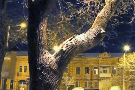 Зима пришла: в Одессе выпал снег (фоторепортаж)