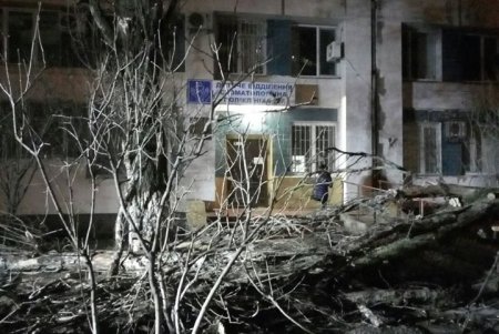 За ночь шквальный ветер повалил полсотни деревьев в разных районах города (фото, видеокомментарий))
