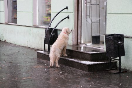Город под снежными хлопьями (фоторепортаж)