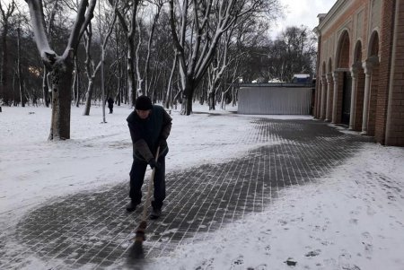 Шквальный ветер повалил в городе более 80 деревьев: почти все последствия ликвидированы (фото)