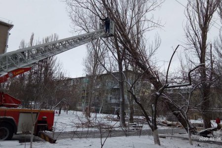 Шквальный ветер повалил в городе более 80 деревьев: почти все последствия ликвидированы (фото)