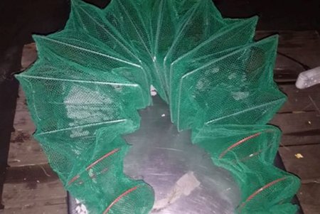 На Одесской таможне изъяли почти 2000 запрещенных раколовок из Китая (фото)