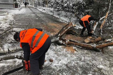Коммунальщики работают в три смены, обеспечивая на улицах города комфорт и безопасность (фото)