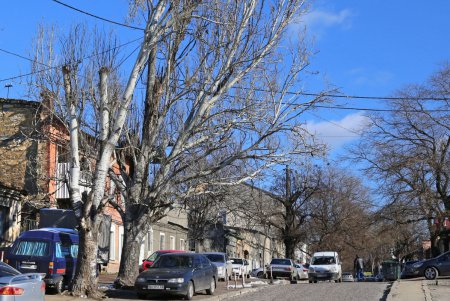 Прогулка по улице Балковской (фоторепортаж)