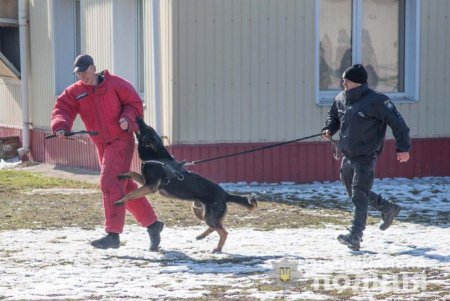 После капремонта открылся модернизированный кинологический центр полиции (фото, видео)