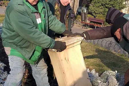 Вандалы повредили бетонную вазу в Горсаду (фото)