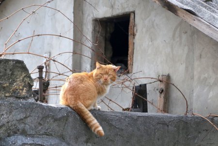 Улица Одария: промышленный район Одессы постепенно преображается (фоторепортаж)  