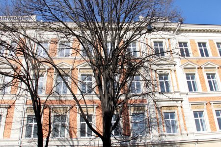 Прогулка по Дерибасовской (фоторепортаж)