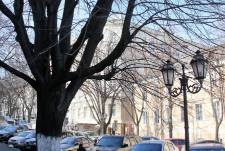 Прогулка по Дерибасовской (фоторепортаж)
