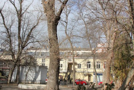 Прогулка по Дерибасовской (фоторепортаж)