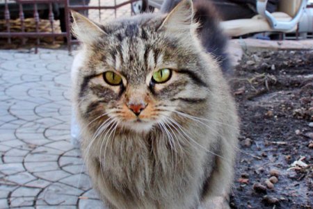 Прогулка по Дерибасовской (фоторепортаж)