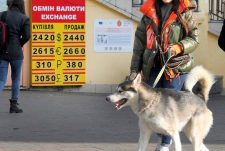 Прогулка по Дерибасовской (фоторепортаж)