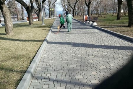 Коммунальщики в парках и скверах окрашивают скамейки, обрезают кустарники и вывозят сухостой (фото)