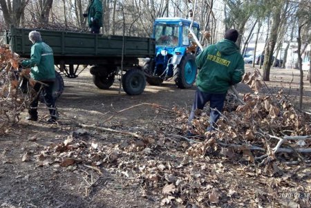 Коммунальщики в парках и скверах окрашивают скамейки, обрезают кустарники и вывозят сухостой (фото)