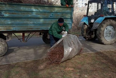 Коммунальщики в парках и скверах окрашивают скамейки, обрезают кустарники и вывозят сухостой (фото)