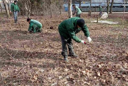 Коммунальщики в парках и скверах окрашивают скамейки, обрезают кустарники и вывозят сухостой (фото)